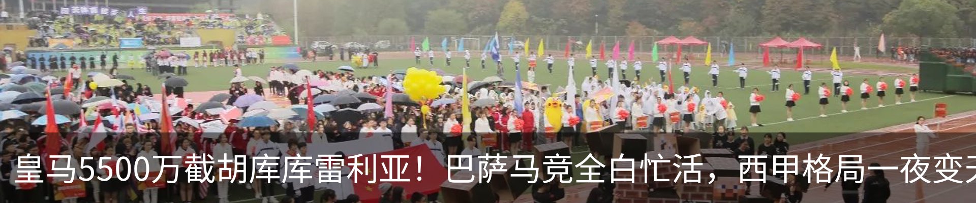 行业资讯